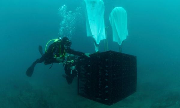 Τι τρέχει με τα υποβρύχια οινοποιεία;