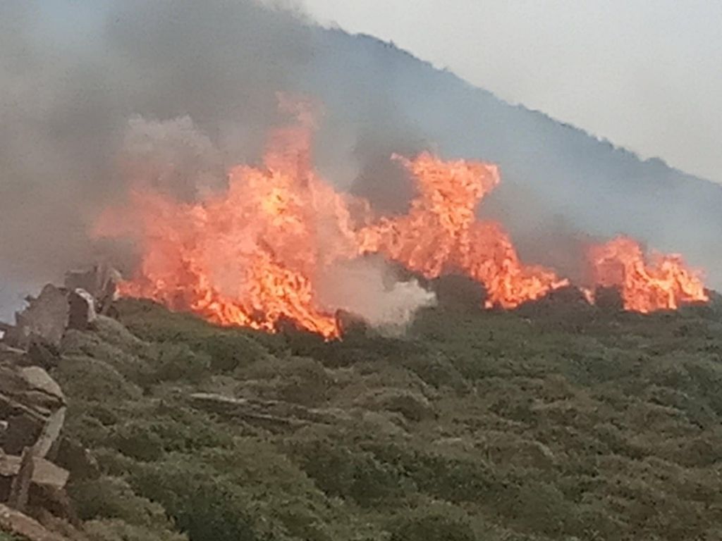 Άνδρος : Μαίνεται η μεγάλη πυρκαγιά – Εκκενώθηκαν δύο χωριά