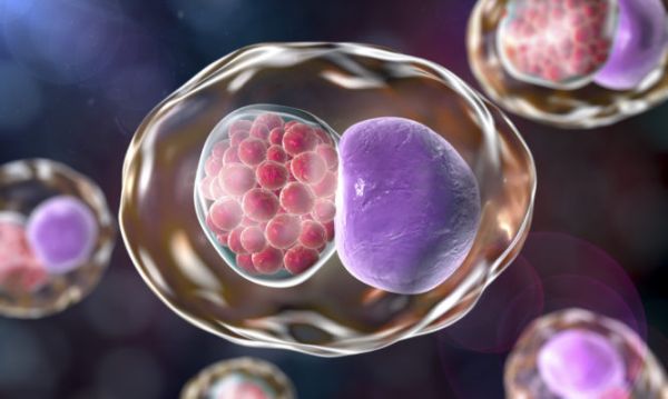 Πώς θα αντιμετωπίσετε τα χλαμύδια – Ποια είναι τα συμπτώματα και οι θεραπείες