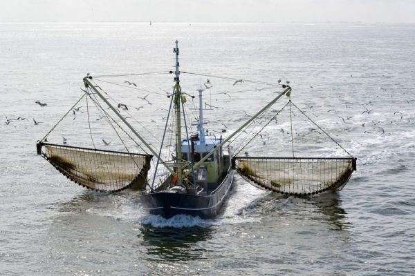 Η ΕΕ απαγορεύει οριστικά την αλιεία με ηλεκτροσόκ