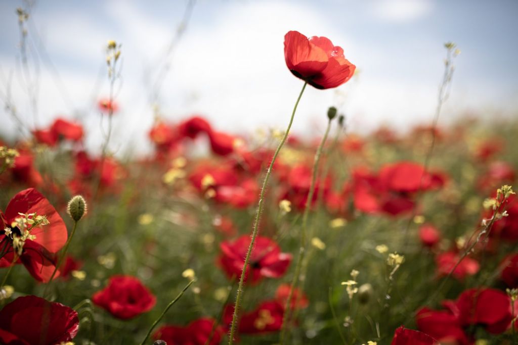 Καιρός Πάσχα: Πολύ υψηλές θερμοκρασίες μέχρι την Κυριακή – Οι νέοι χάρτες