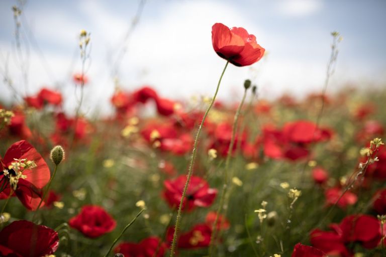 Καιρός Πάσχα: Πολύ υψηλές θερμοκρασίες μέχρι την Κυριακή – Οι νέοι χάρτες