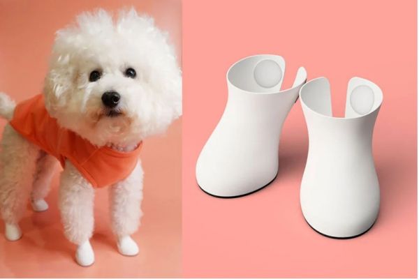 Παπουτσωμένος σκύλος; Και όμως η νέα τάση έρχεται από την Ιαπωνία