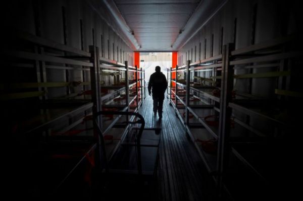 ΣΔΟΕ: Κατασχέθηκε ποσότητα κάνναβης αξίας 33 εκατ. ευρώ με προορισμό τη Σλοβακία