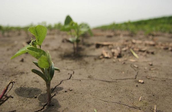 Κλιματική αλλαγή και γεωργία: Πώς μπορούμε να προσαρμοστούμε στις επιπτώσεις