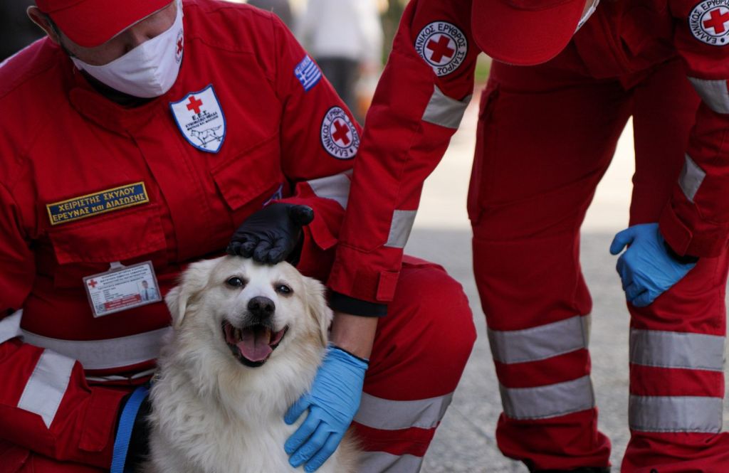 Ελληνικός Ερυθρός Σταυρός : Συγκέντρωση τροφής και κλινοσκεπασμάτων για τα αδέσποτα ζώα