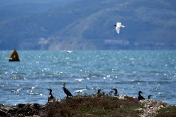Βγήκαν τα Μερομήνια – Ο καιρός ανά μήνα