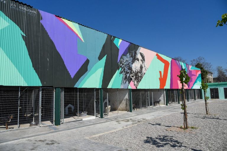 Έτοιμο το πρώτο σύγχρονο καταφύγιο αδέσποτων ζώων του Δήμου της Αθήνας