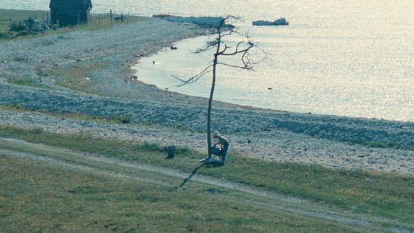 Τα «Κατά Ματθαίον Πάθη», ο Μπαχ και ο Ταρκόφσκι