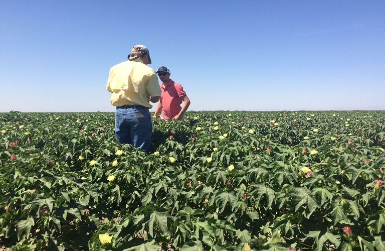 Συνεταιρισμοί : Στο ΦΕΚ η παράταση θητείας των Διοικήσεων
