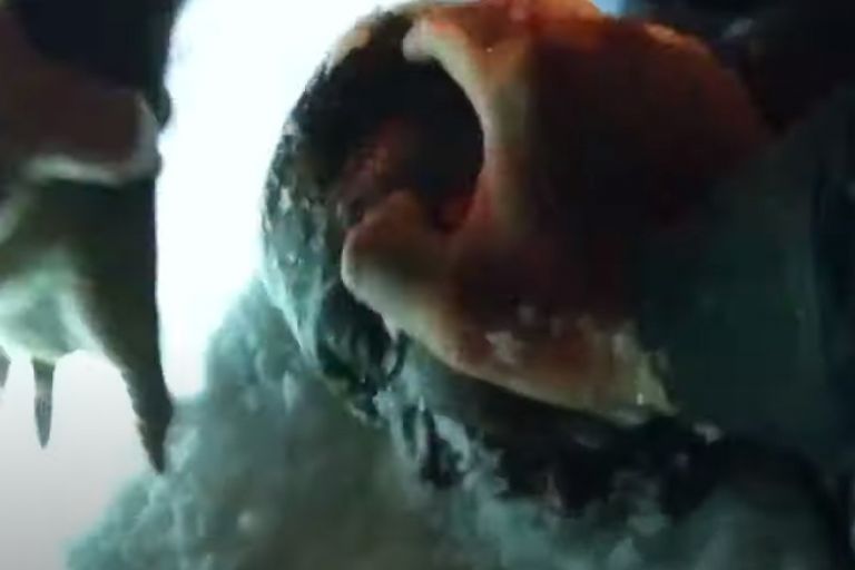 ΗΠΑ : Νέο περιστατικό αστυνομικής βίας – Αστυνομικός βάζει χιόνι στο στόμα συλληφθέντα