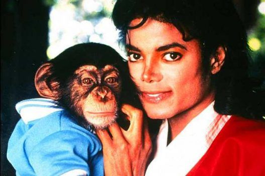 Μπαμπλς : Ο χιμπατζής-σταρ του Μάικλ Τζάκσον