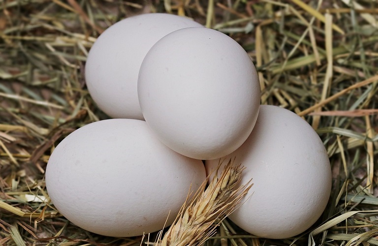 Δήλωση αποθεμάτων αιγοπρόβειου κρέατος και αυγών – Τι πρέπει να γνωρίζετε