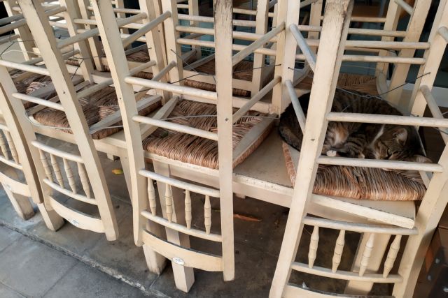 Βασιλακόπουλος : Να ανοίξει η εστίαση σε εξωτερικούς χώρους – Θα μειωθούν τα κορονοπάρτι