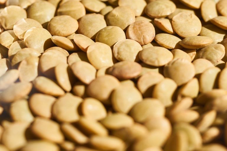 Φακή Εγκλουβής για πάνω από 400 χρόνια