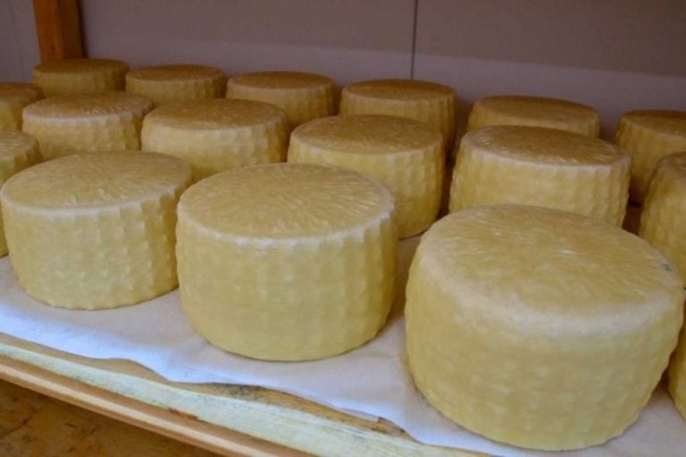 Δέκα χρόνια μετά, επιστρέφει ο Σύλλογος Τυροπαραγωγών Λέσβου