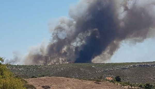 Φωτιά τώρα στο Λαύριο – Μεγάλη επιχείρηση της Πυροσβεστικής