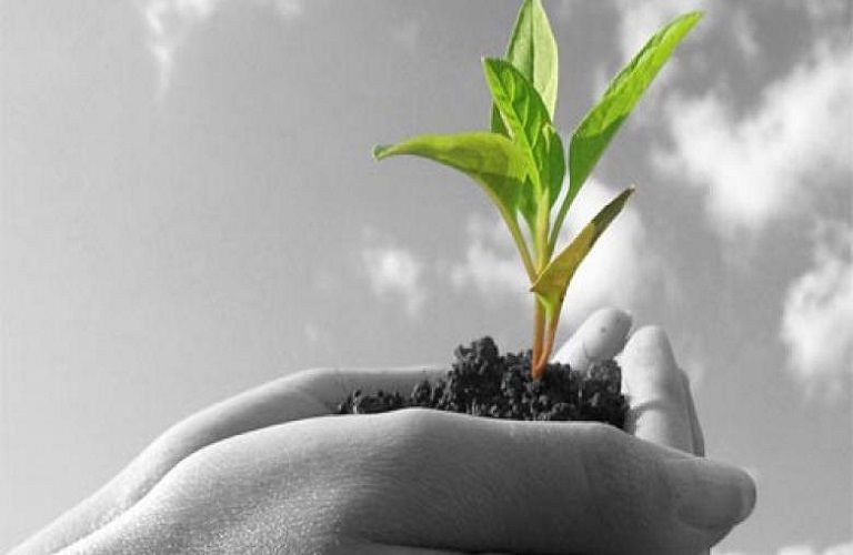 Πώς η μείωση των εκπομπών CO2 θα καθορίσει τη γεωργία