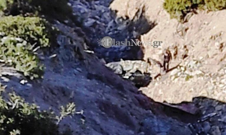 Θανατηφόρα πτώση ΙΧ στη Γαύδο: Μία γυναίκα νεκρή, πρόλαβε και βγήκε ο οδηγός