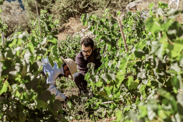 Ικαρία : Τα μυστικά της διατροφής για μακροζωία «ξεκλειδώνει» Έλληνας διατροφολόγος
