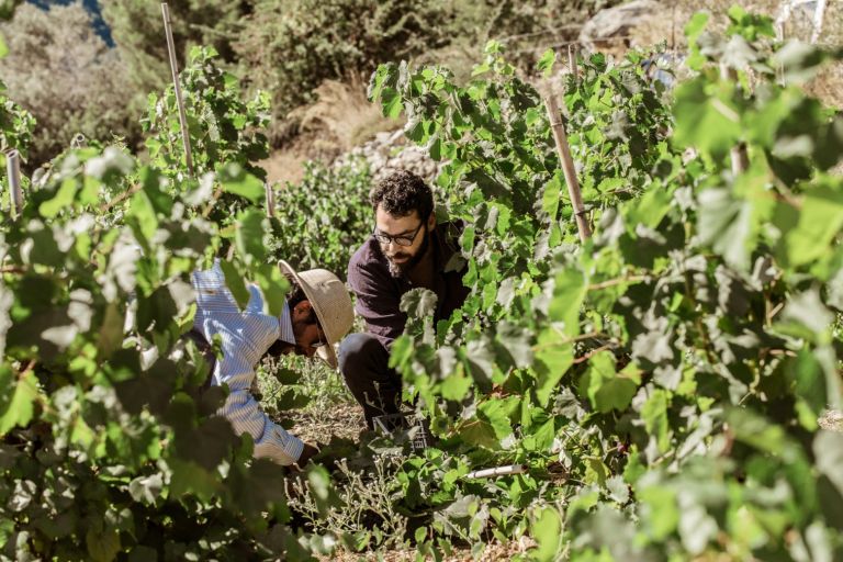 Ικαρία : Τα μυστικά της διατροφής για μακροζωία «ξεκλειδώνει» Έλληνας διατροφολόγος