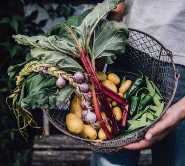 Τα λαχανικά που «χτίζουν» δυνατούς μυς