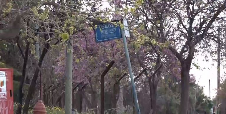 Επίθεση με καυστικό υγρό :  Άτομο από το παρελθόν της 25χρονης ο δράστης, εκτιμούν οι Αρχές