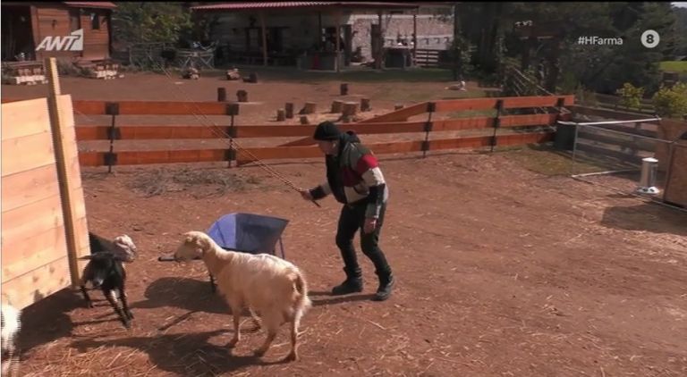 Φάρμα: Ο Τζώρτζογλου τραγουδάει στα κατσικάκια  – «Το δύσκολο θα είναι αν του απαντήσουν» σχολιάζει το Twitter