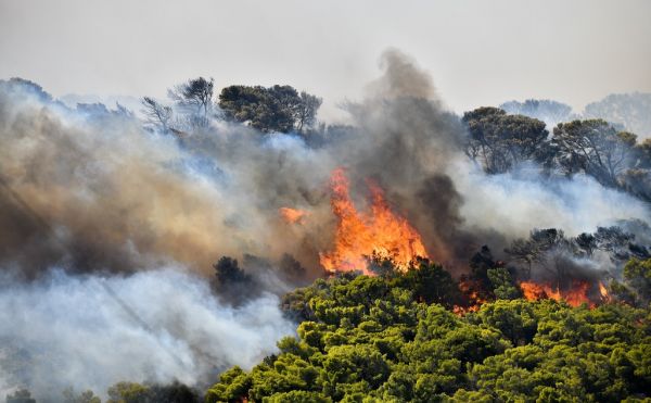 Φωτιά στη Σάμο : Δίνουν μάχη με τις φλόγες οι πυροσβέστες και οι εθελοντές