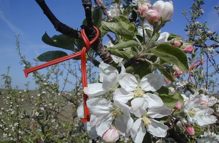 Κομφούζιο: Έως 31/5 αιτήματα τροποποίησης – μεταβίβασης