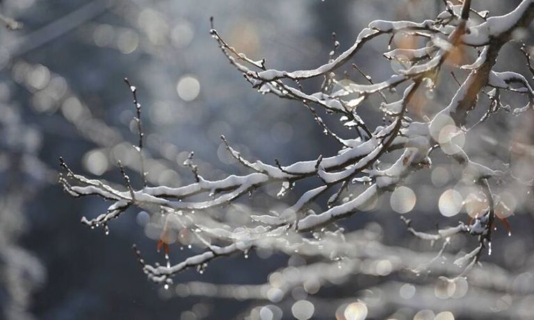 Από τους πιο κρύους των τελευταίων ετών ο φετινός Μάρτιος