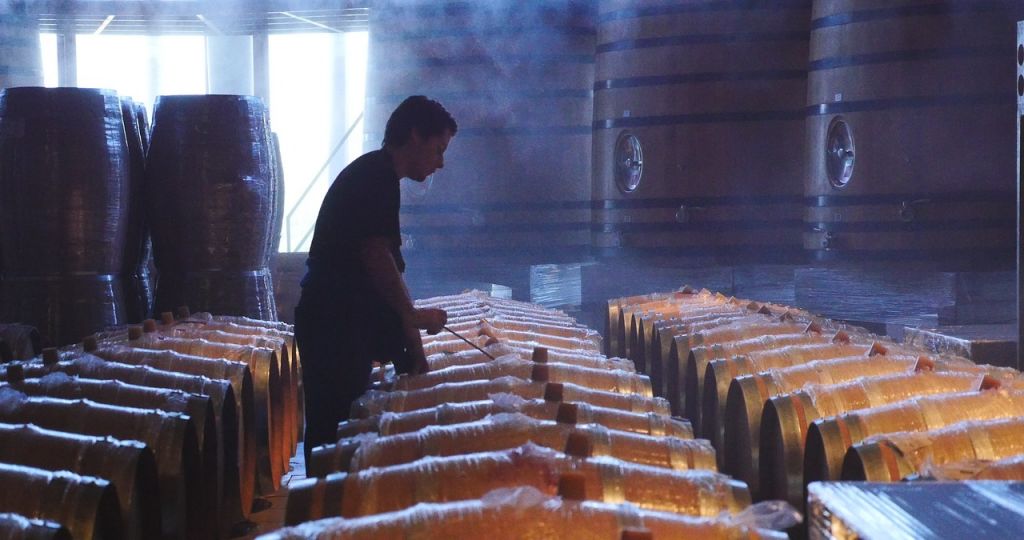 Γίνε Οινοπαραγωγός για μία ημέρα