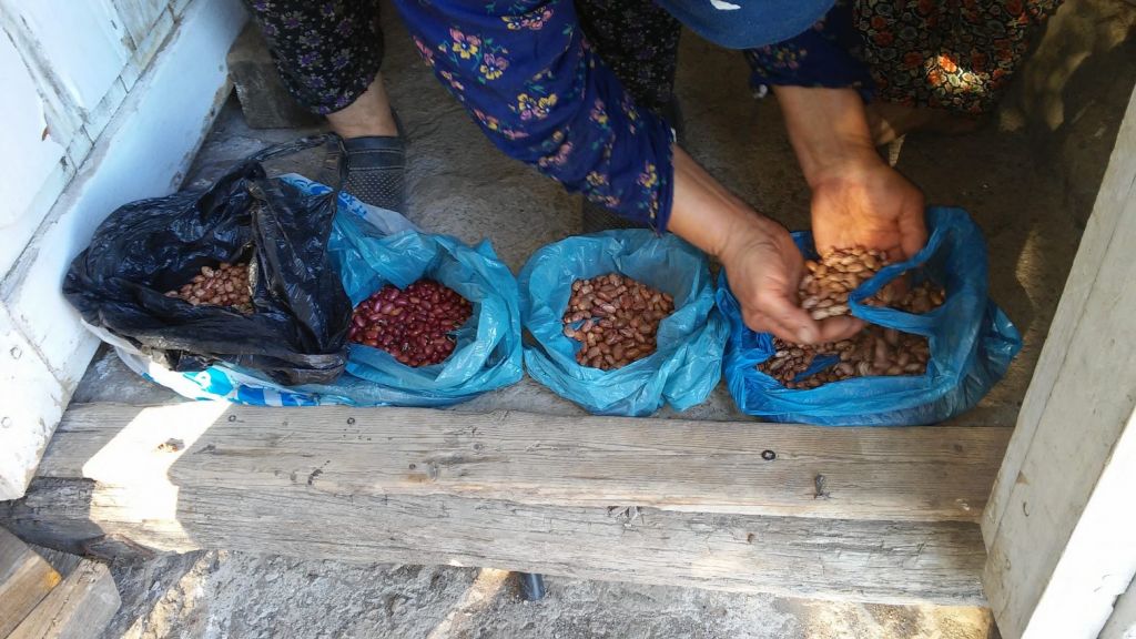 Οι …ξεχασμένες ποικιλίες των ελληνικών βουνών