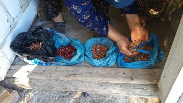 Οι …ξεχασμένες ποικιλίες των ελληνικών βουνών