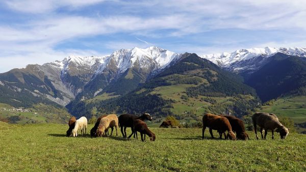 Εξισωτική Αποζημίωση : Έρχεται η νέα Πρόσκληση για το 2021