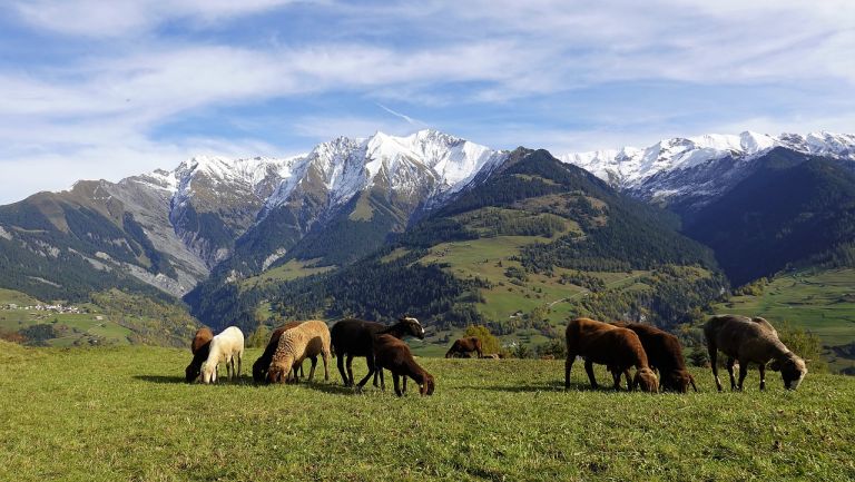 Εξισωτική Αποζημίωση : Έρχεται η νέα Πρόσκληση για το 2021