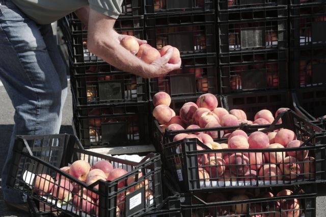 Hungarian frost boost Greek peaches