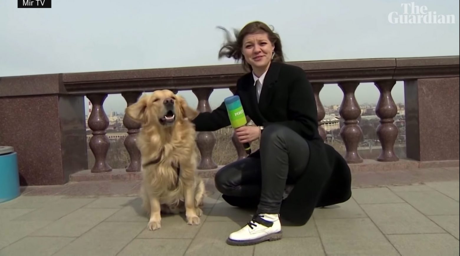 Ρωσία : Σκύλος έκλεψε το μικρόφωνο από ρεπόρτερ σε ζωντανή σύνδεση