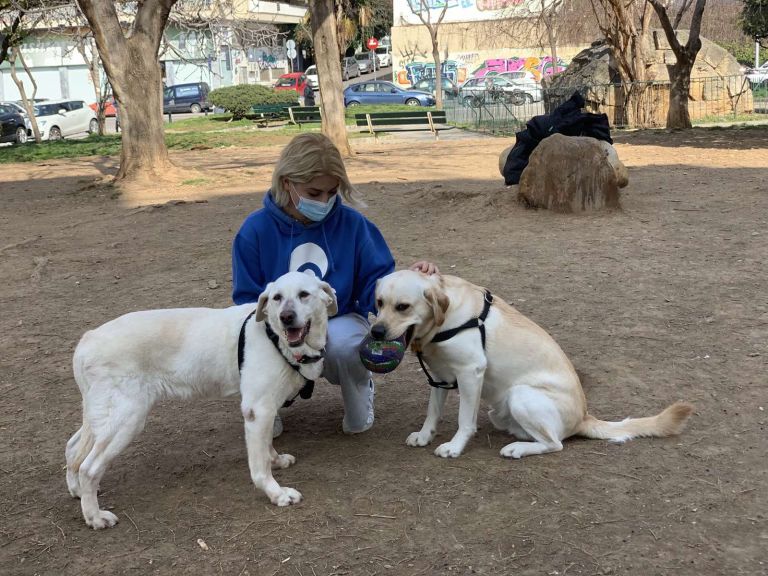 Ο αστυνομικός σκύλος «Χιονονιφάδα» βγήκε στη σύνταξη – Ξεκουράζεται πλέον στο νέο της σπίτι