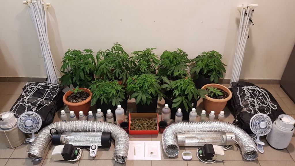 Μυτιλήνη: Έστηναν φυτείες σε οικίες και… θησαύριζαν