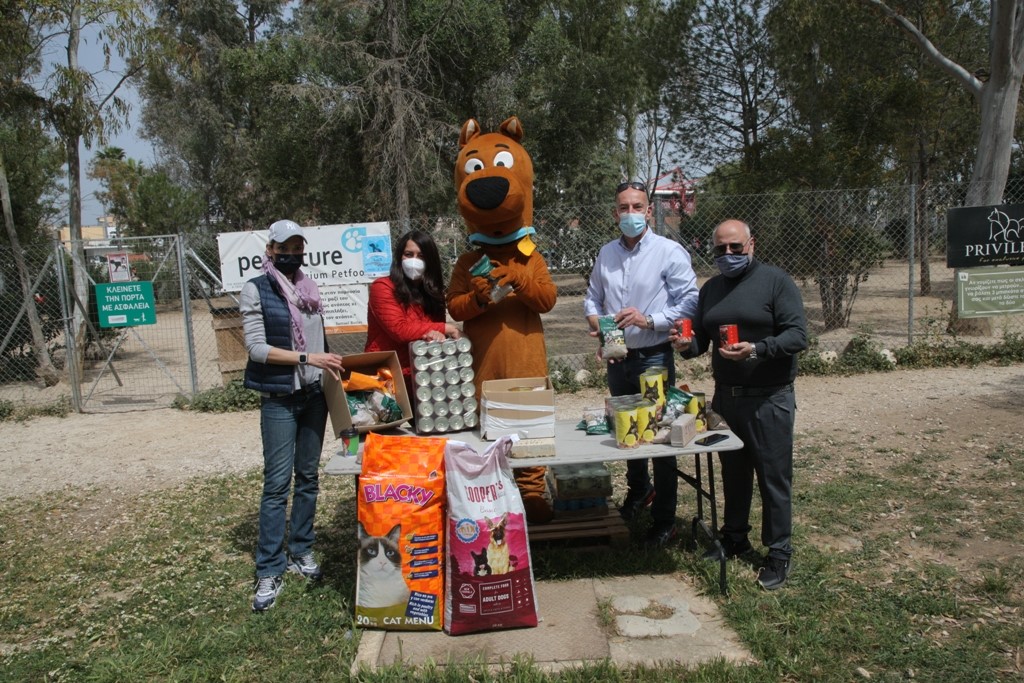 Ημέρα Αδέσποτων Ζώων : Συγκέντρωση τροφής από τον Δ. Πειραιά – Πώς μπορείτε κι εσείς να βοηθήσετε