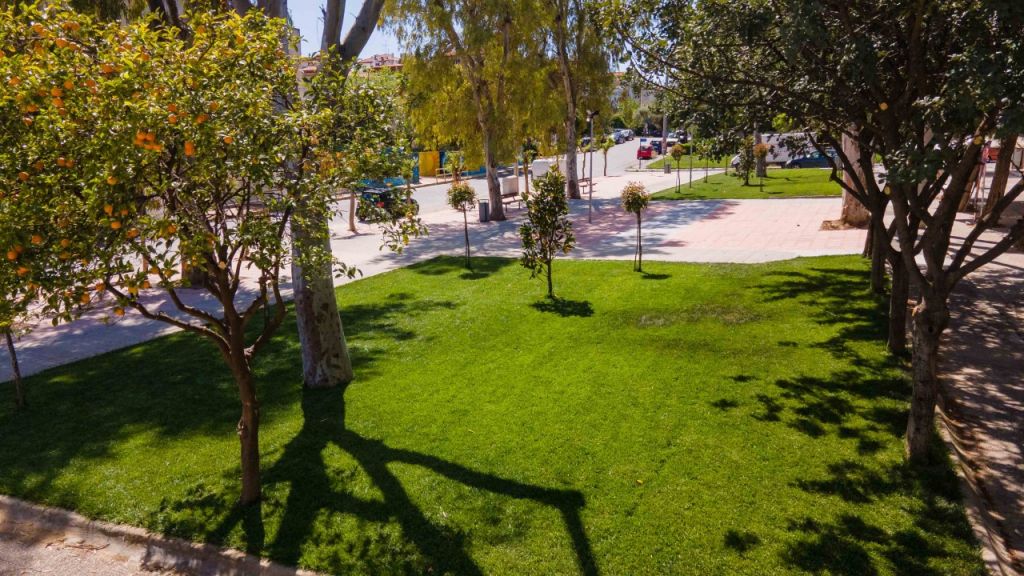 Το Ίλιον πρασινίζει