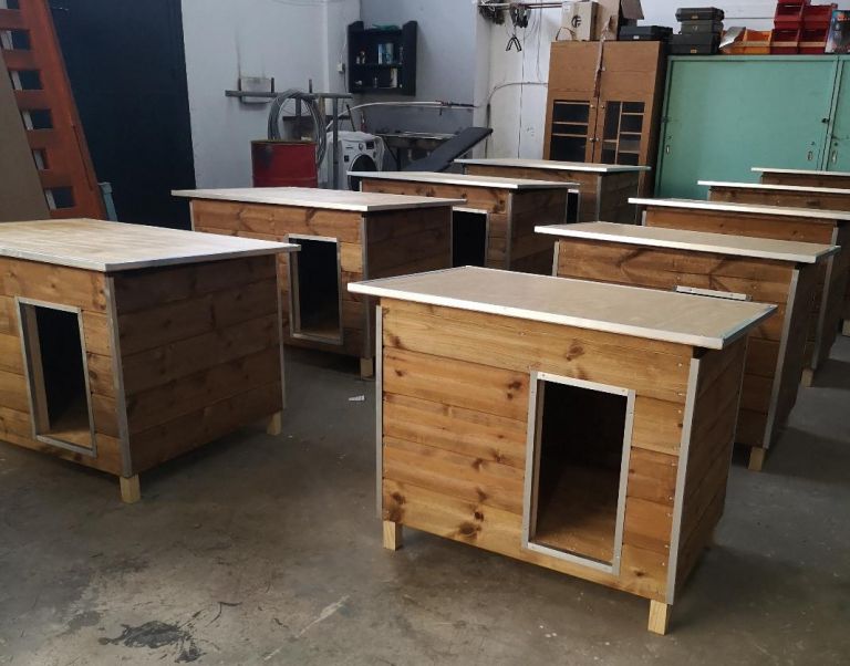 Συγκινητική πρωτοβουλία: Κρατούμενοι φτιάχνουν σπιτάκια για αδέσποτα ζώα