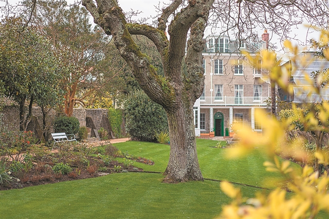 Η βελανιδιά του Ουγκώ και της Ευρώπης