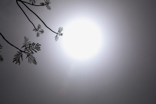 Κλιματική αλλαγή: Το 2020 ήταν η θερμότερη χρονιά στην ιστορία της Ευρώπης