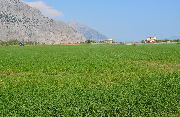 ΚΑΠ : Συνεχίζεται η προετοιμασία του Εθνικού Στρατηγικού σχεδίου