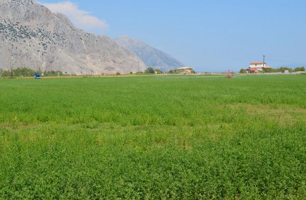 ΥπΑΑΤ: Τροπολογία στο νομοσχέδιο για τις αθέμιτες πρακτικές