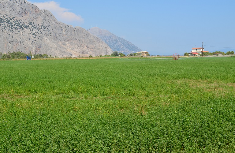 ΥπΑΑΤ: Τροπολογία στο νομοσχέδιο για τις αθέμιτες πρακτικές