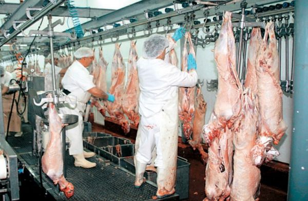 ΥπΑΑΤ: Εντοπίστηκαν ήδη 100 περιπτώσεις ελληνοποιήσεων