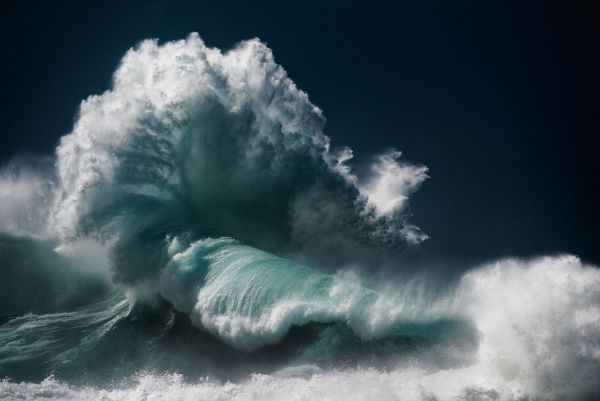 Τρεις φωτογράφοι «αιχμαλωτίζουν» την άγρια ομορφιά και την μαγεία των ωκεανών